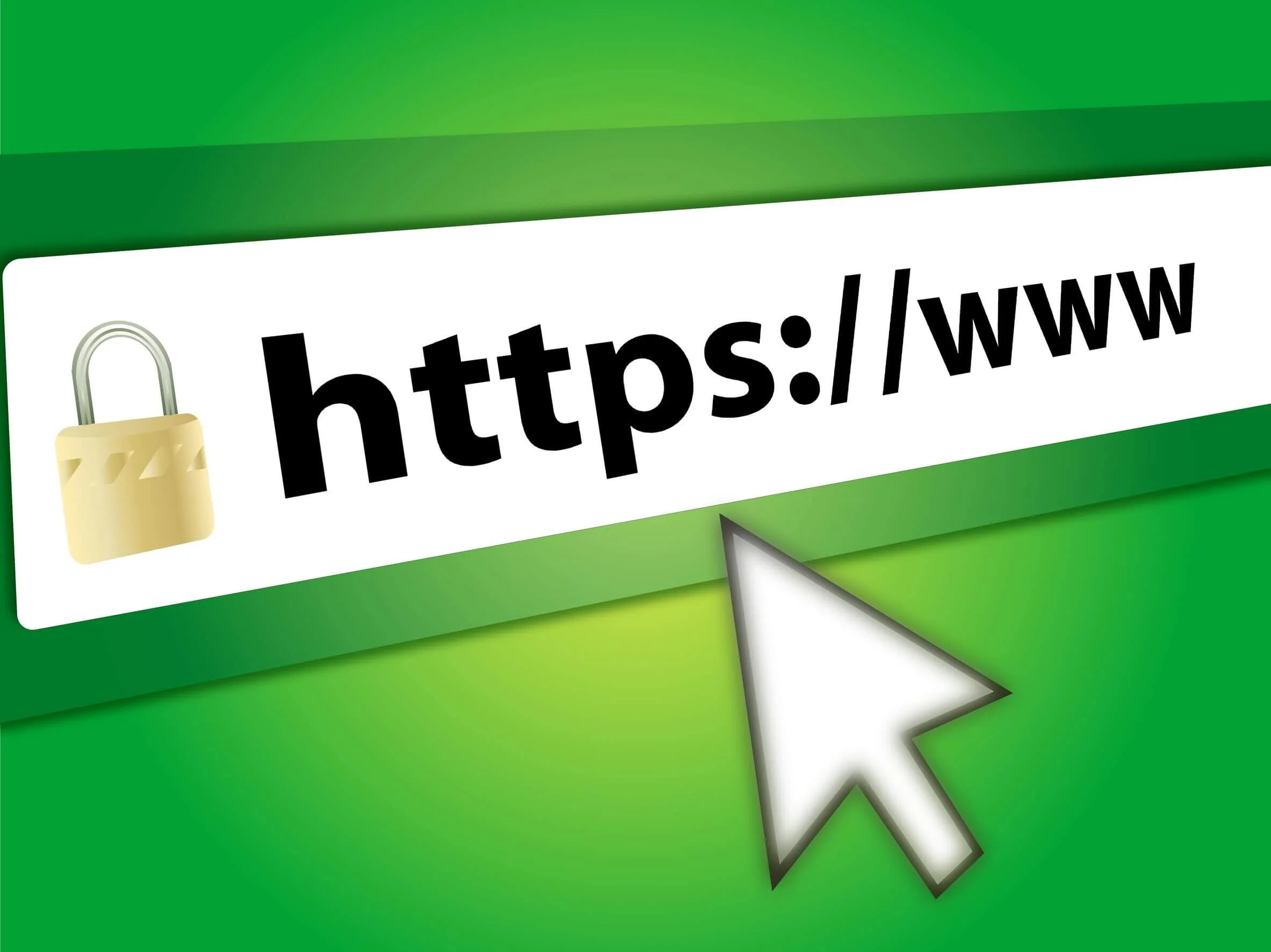 Installing an SSL Certificate on SuiteCommerce - Customize Interests